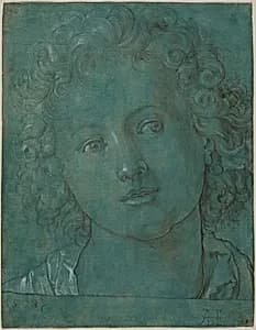 Head of a Boy