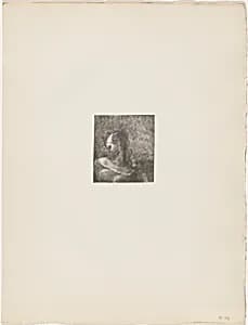Hélène (Ennoia)