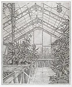 In the North Greenhouse