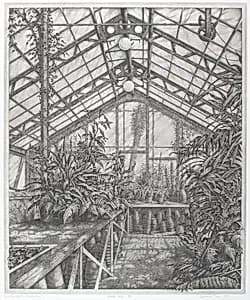In the North Greenhouse