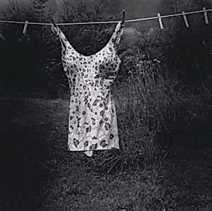 Portrait of Irene Fay