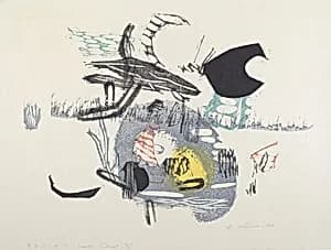 Insects' Concert