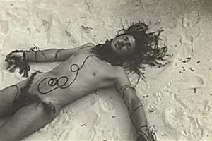 Jared French, Fire Island