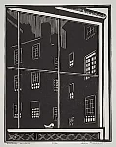 Kitchen Window