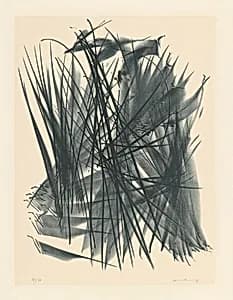 L 116