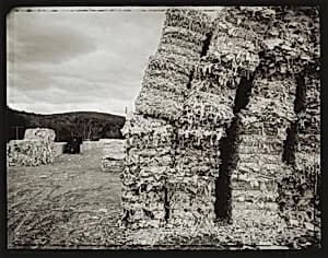 Leaning Bales