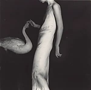 Leda and Swan