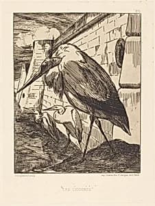Les Cigognes (The Storks) by Félix Bracquemond