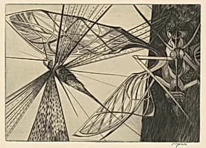 Locust
