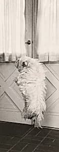 Portrait of Kerstin Adams, Robert Adams