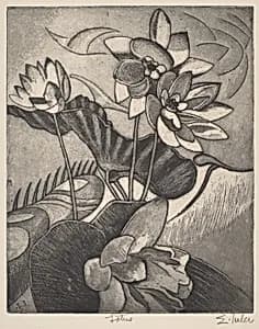 Lotus