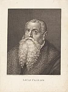 Lucas Cranach by Moritz Steinla