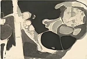 Maw 16