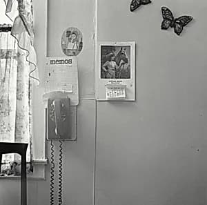 Memo Center with Butterflies