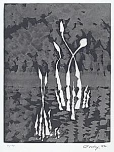 Movements in White