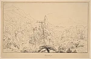Narcissus [recto] by Thomas Cole