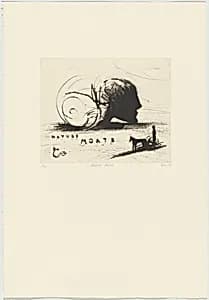 Nature Morte