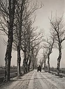 November Days by Alfred Stieglitz