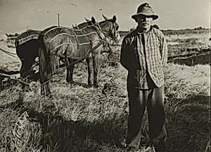 Oklahoma