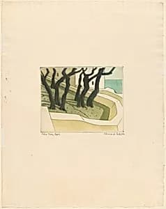 Olive Trees, Capri