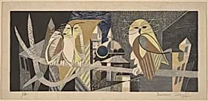 Owls