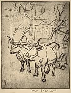 Oxcart