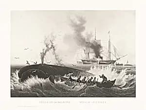 Pêche de la Baleine, Whale-Fishery by Friedrich von Martens, after Louis Garneray, published by Goupil & Vibert
