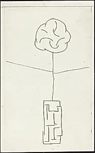 Plate 12