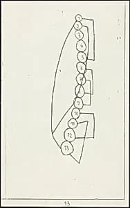 Plate 13