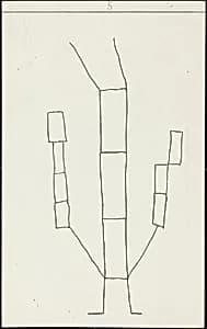 Plate 5