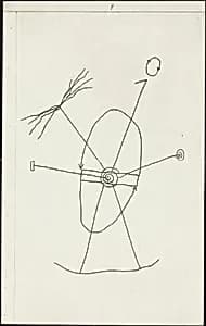 Plate 7