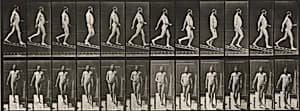 Plate Number 113. Descending an incline by Eadweard Muybridge