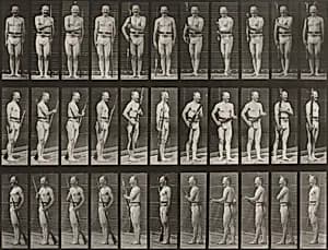 Plate Number 351. "Fix" and "unfix bayonets" by Eadweard Muybridge