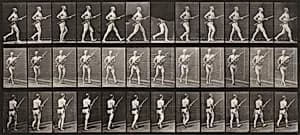 Plate Number 359. Charging bayonet by Eadweard Muybridge