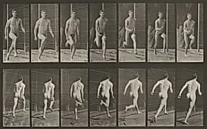 Plate Number 66. Running by Eadweard Muybridge