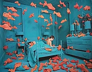 Portrait of Sandy Skoglund