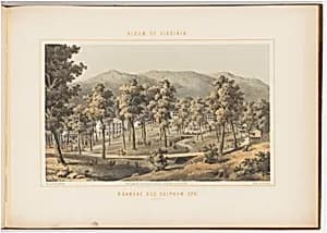 Roanoke Red Sulphur Spring by after Edward Beyer