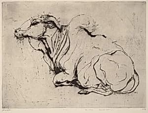 Sacred-bull