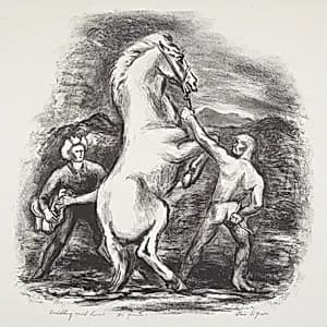 Saddling Wild Horse