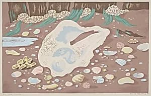 Sea Shells