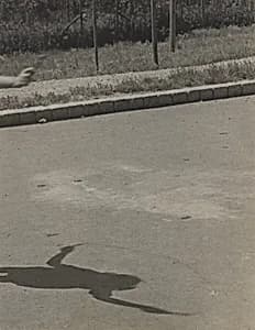 Shattenspiel (Shadow play)