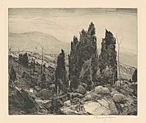 Spruce Land