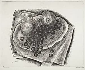 Still Life