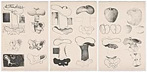 Studies for Adam & Eve