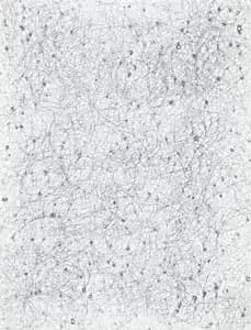 Study for Scrub