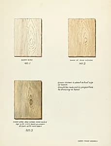 Technique Demo (Wood Grain) by Harry Mann Waddell
