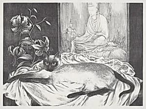 The Aristocrat