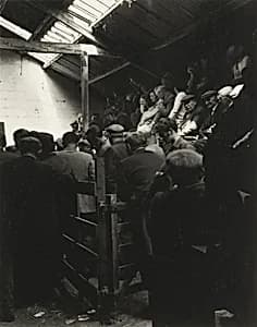The Mart, St. John's