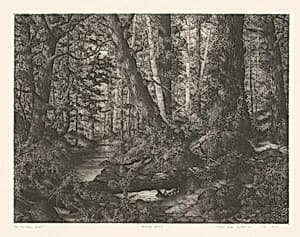 The Northern Shore