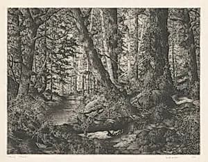 The Northern Shore